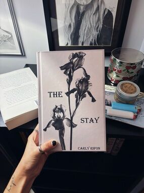 My novel “The Stay” on Amazon!